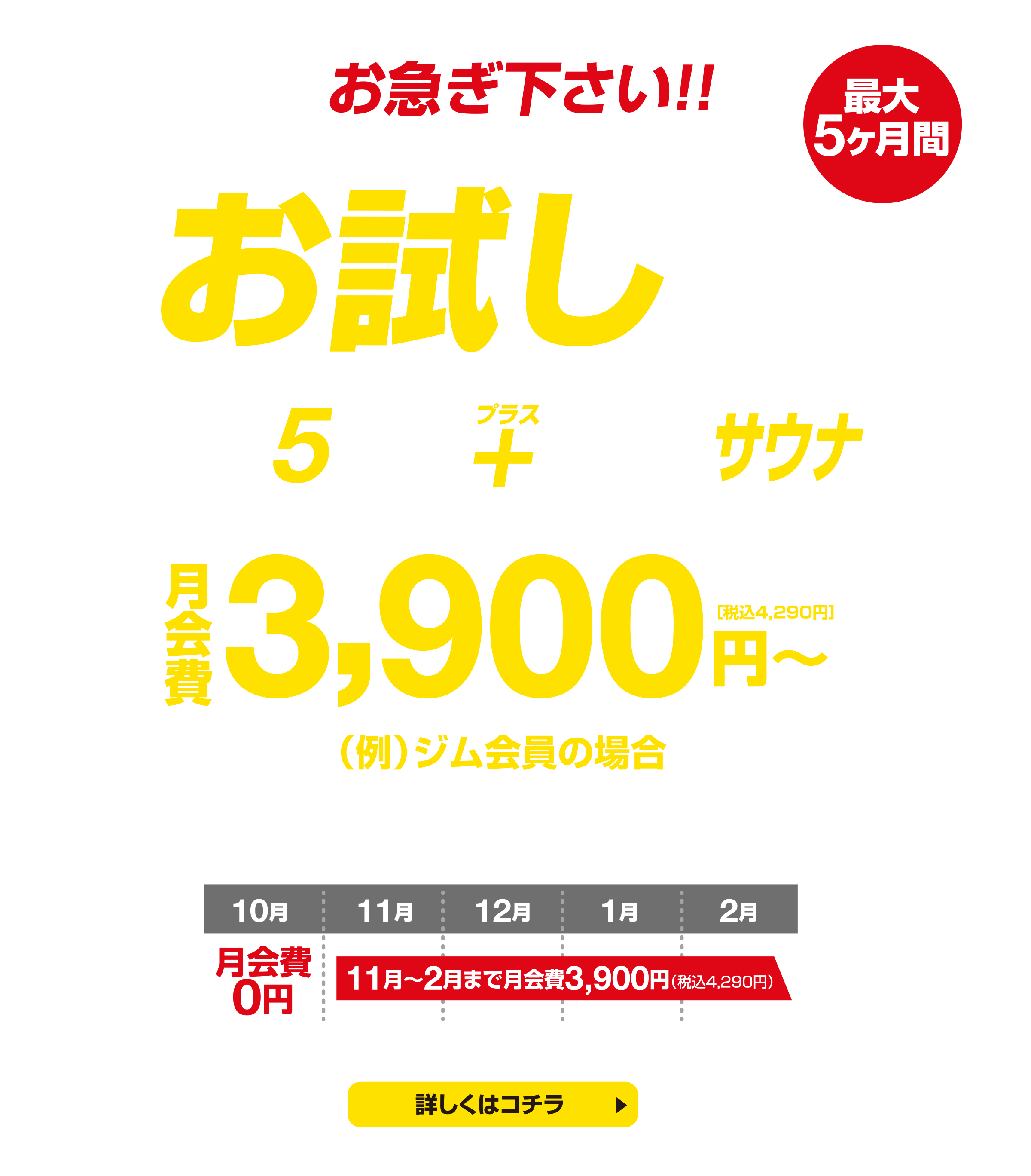 【月会費3900円〜】５店舗のジムエリアとロウリュサウナと岩盤浴が使い放題。お試しキャンペーン開催中！